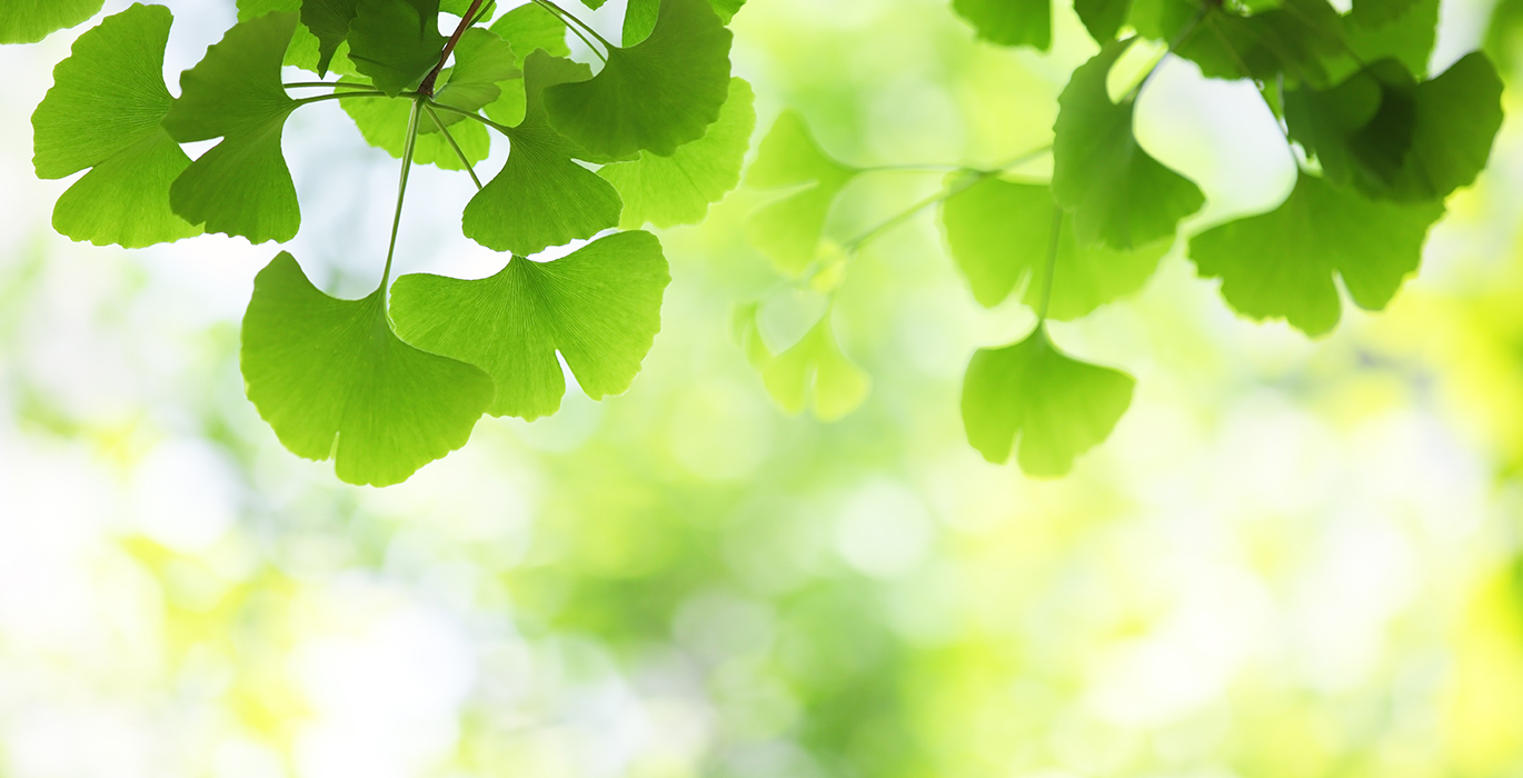 Wang's acupuncture, chinese medicine, infertility, allergies, stress, digestive problems, depression, anxiety, health and well being